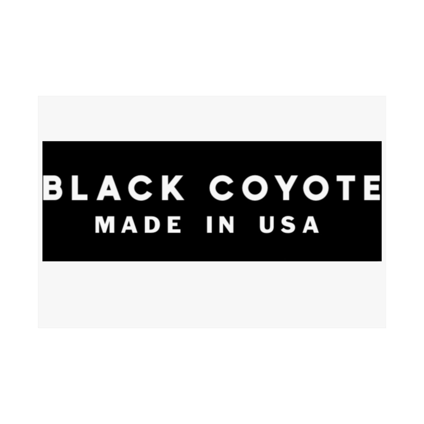 Black Coyote poster